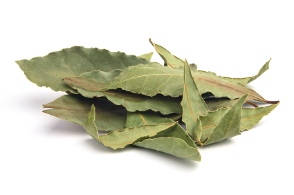 bay leaf